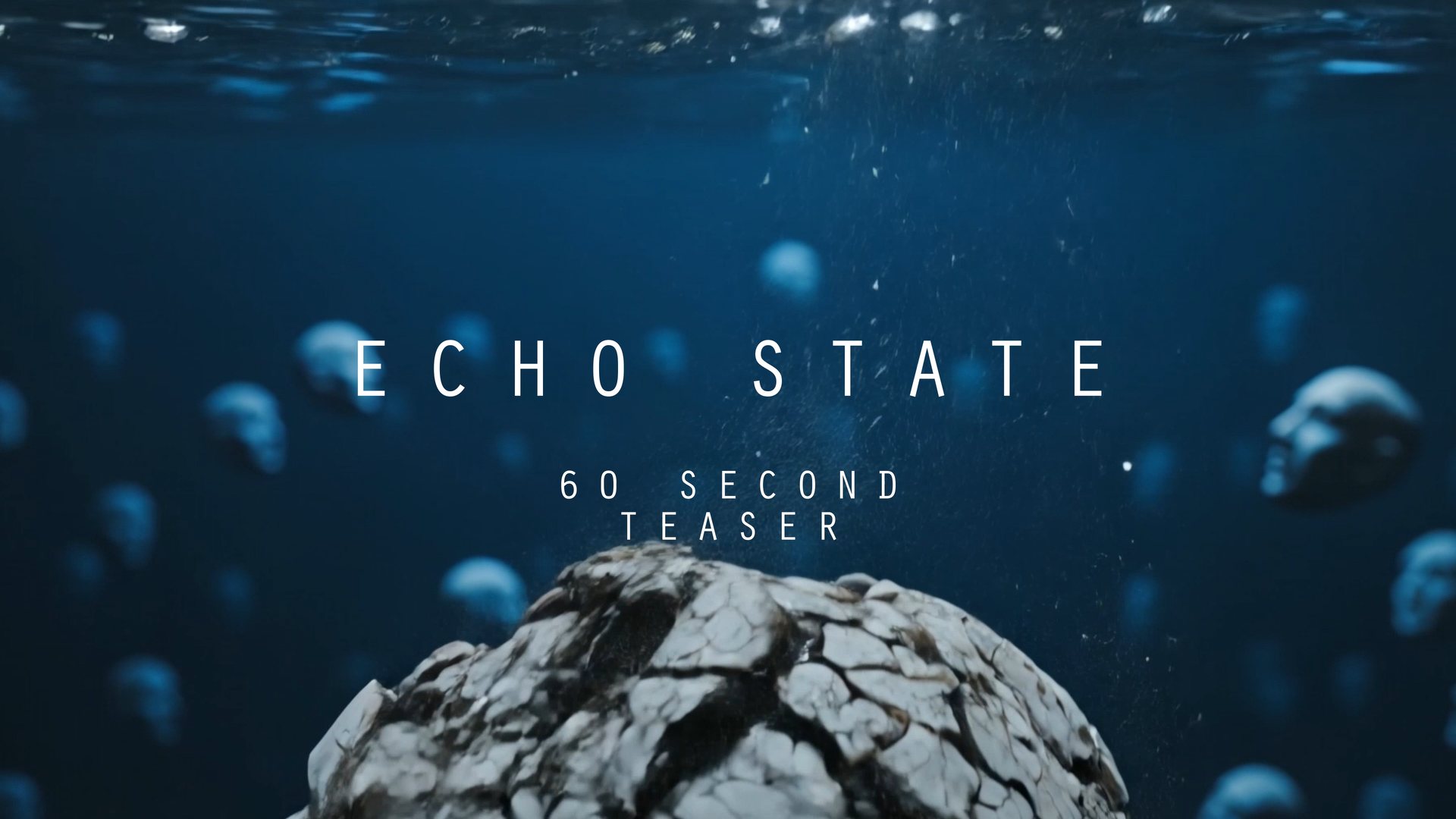 Echo State